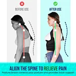 waist support belt