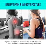 Sports Back Brace