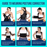 Sports Back Brace