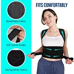 waist support belt